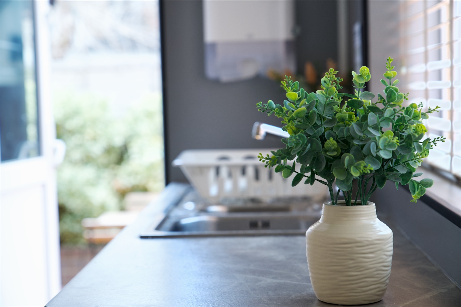 Decorative plant beside the Eden House kitchen sink, with the garden beyond an open door.